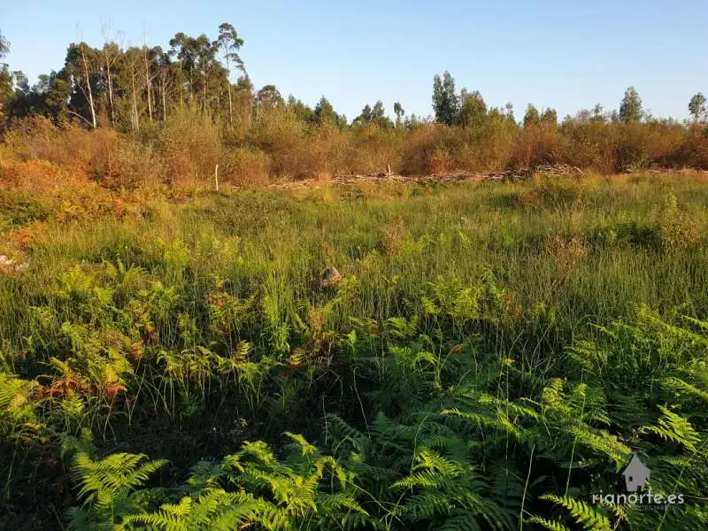 Land for sale in Castrillón