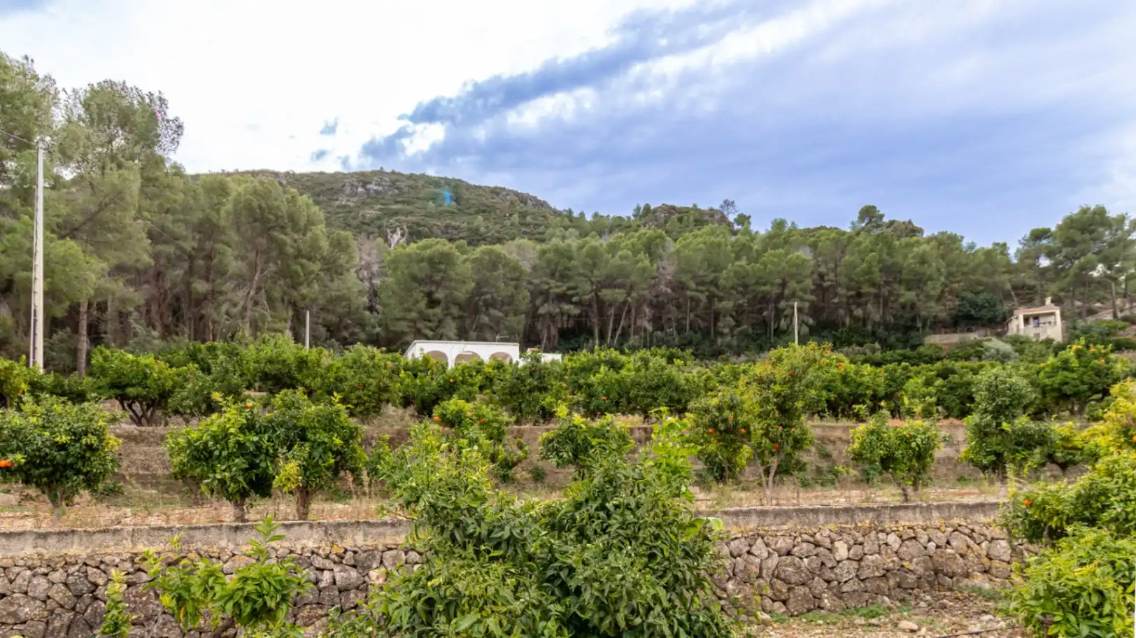 Casa rústica con jardín en venta en Pego, imagen 16