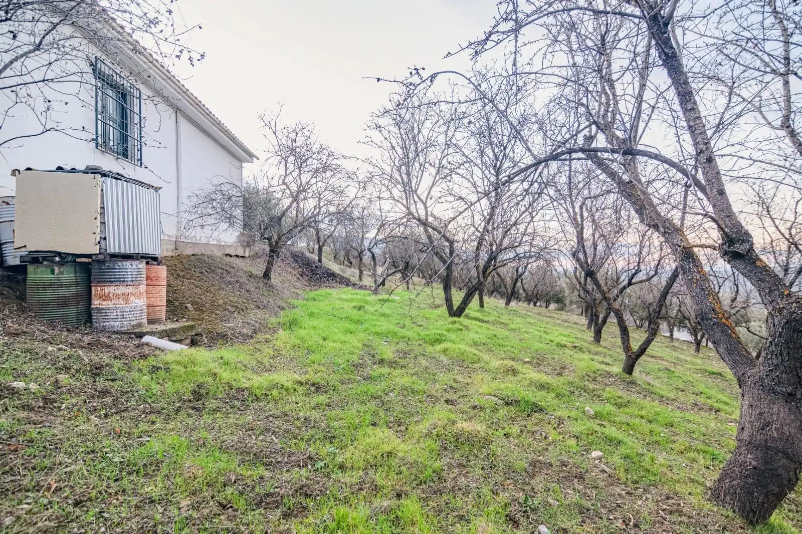 Lands and plots for sale in Autovia Pinos Genil, imagen 5