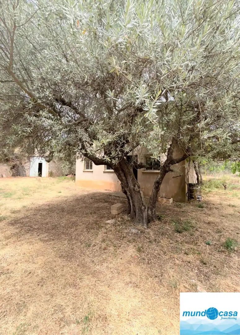 Finca rústica en venda en Morata de Jalón amb Piscina comunitària