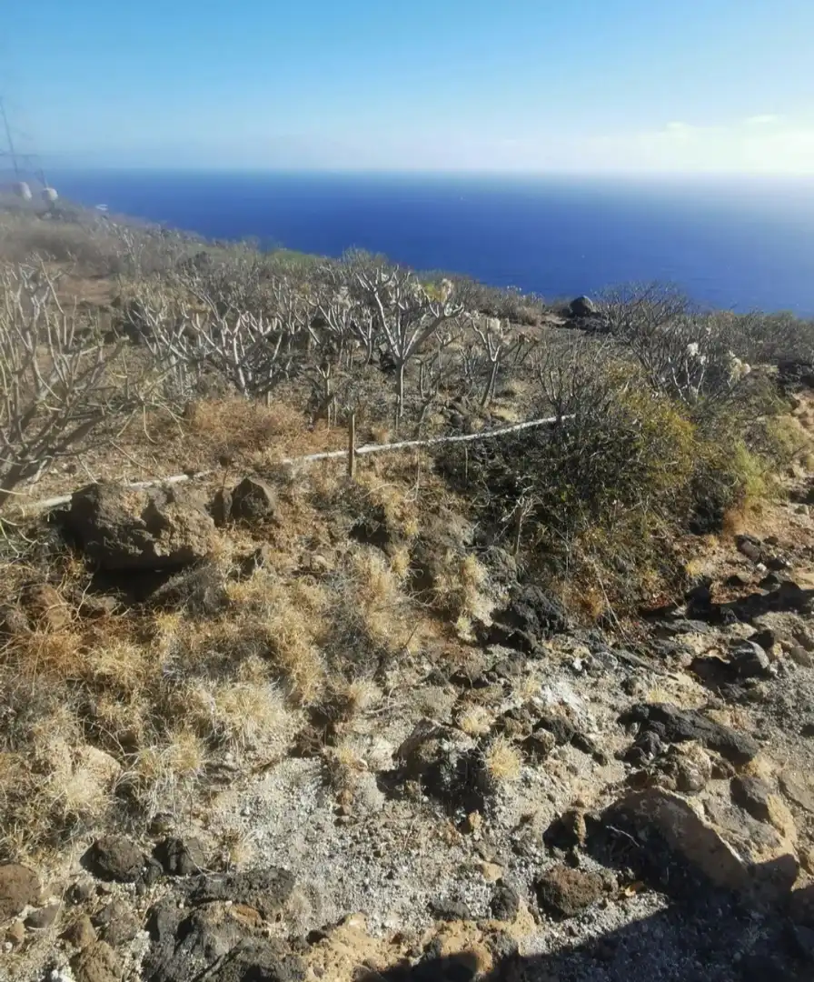Rural land for sale in TF-28, imagen 10