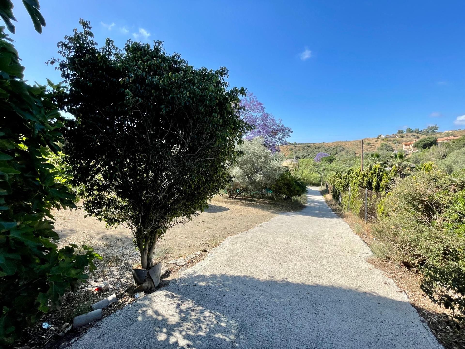 Vista exterior de Finca rústica en venta en Mijas con Jardín privado y Terraza