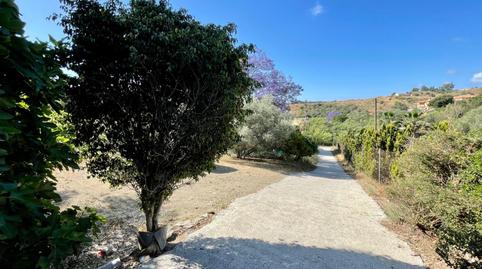Foto 3 de Finca rústica en venda a  Sup S1-arroyo Pilones, Campo de Mijas, Málaga