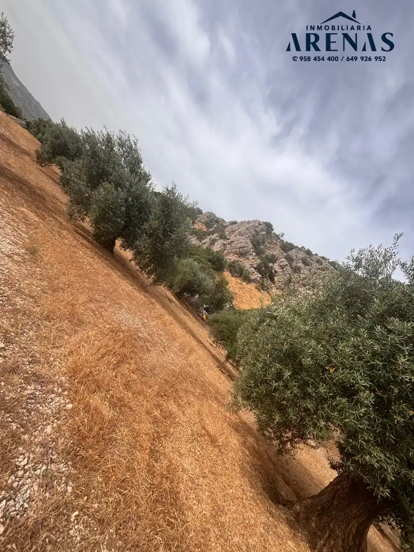 Rustikales Grundstück zum Verkauf in Calle Pozo de Íllora, imagen 8