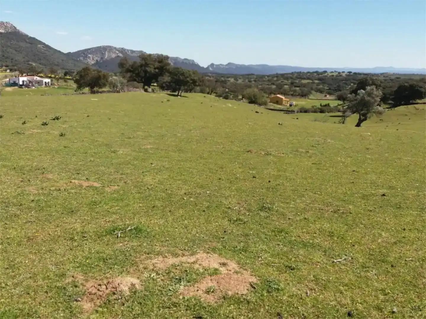 Terreno en venta en Serradilla