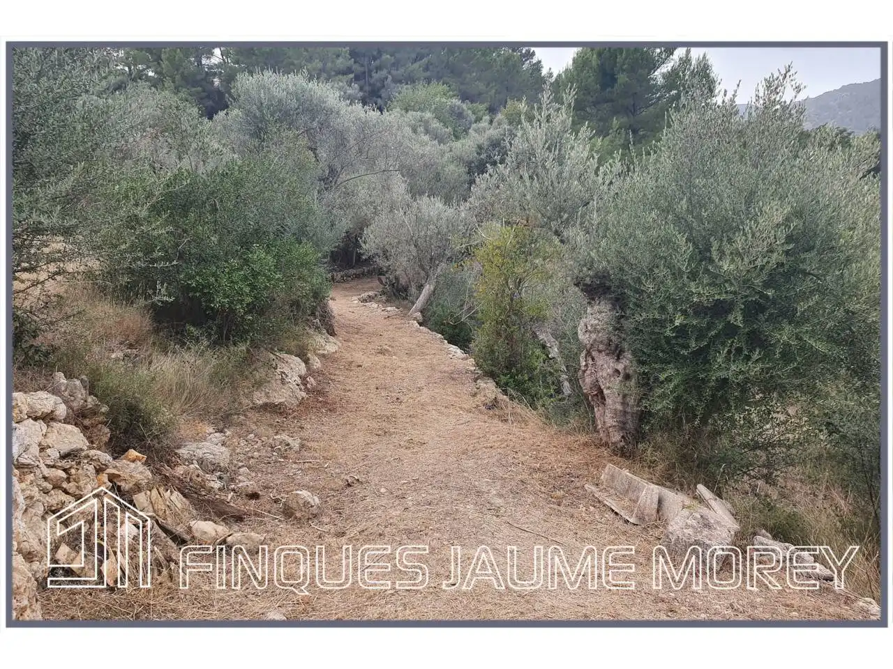 Finca rústica en venda en Selva amb Jardí privat