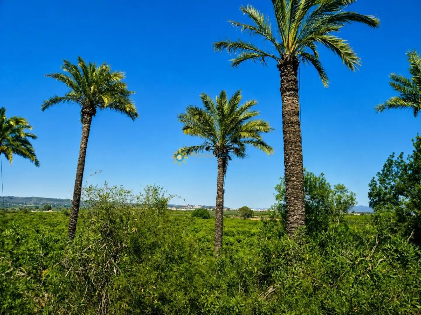 Vista exterior de Finca rústica en venda en Cotes amb Jardí privat, Terrassa i Balcó