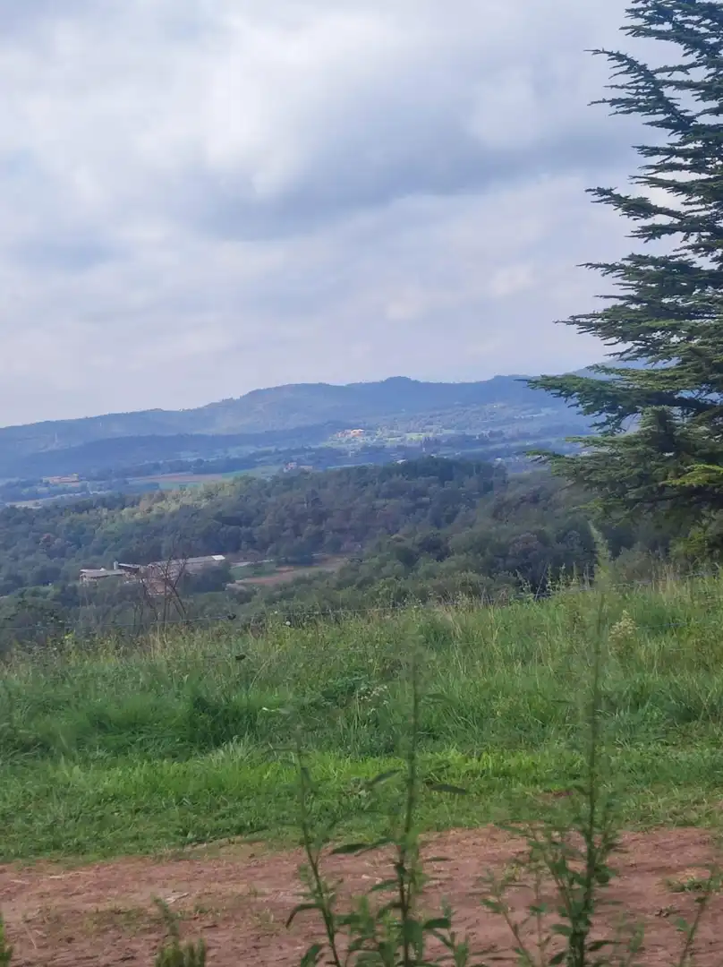 Terreny residencial en venda a Mediona, imagen 5