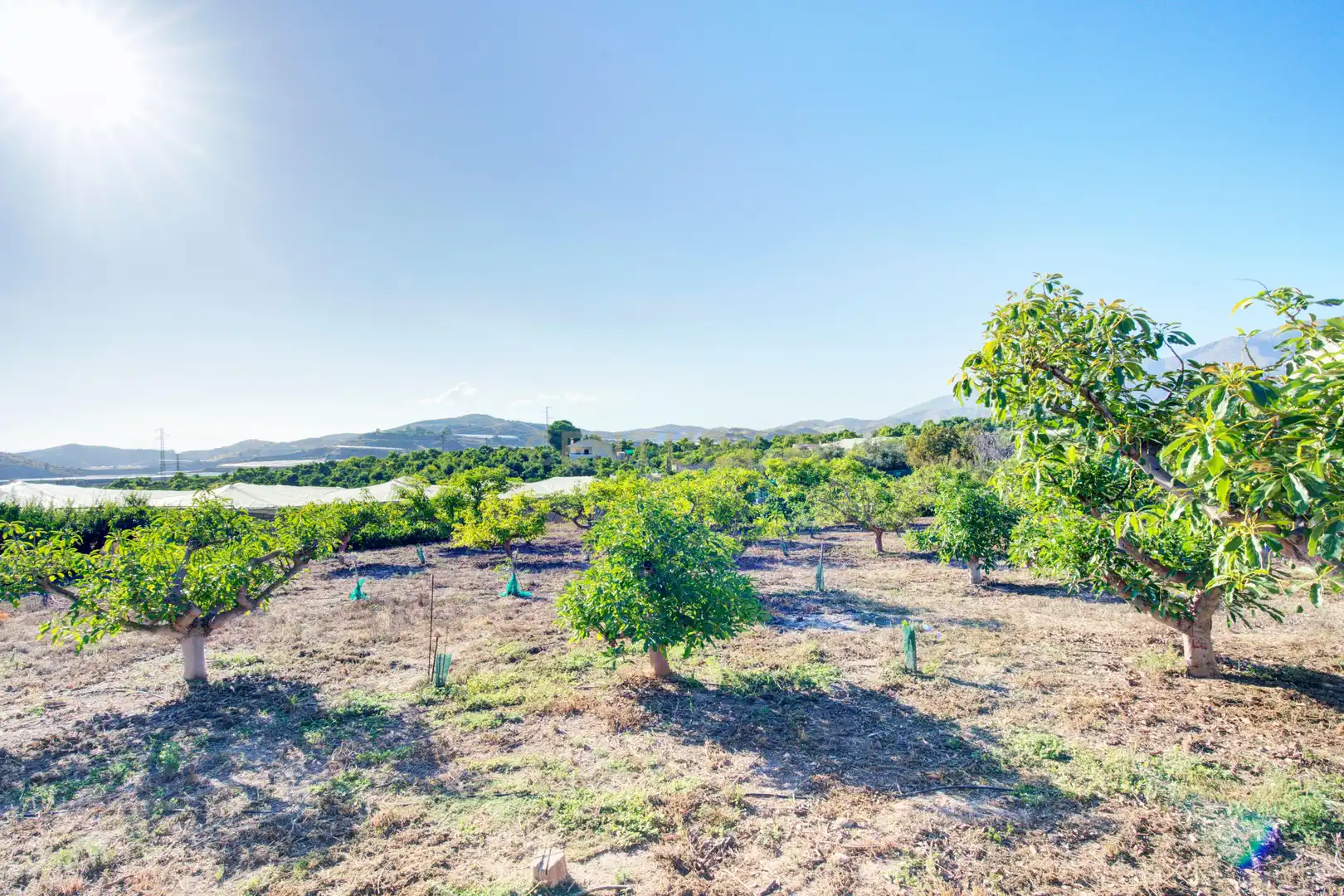 Casa o chalet en venta en Motril con Jardín privado, Trastero y Piscina