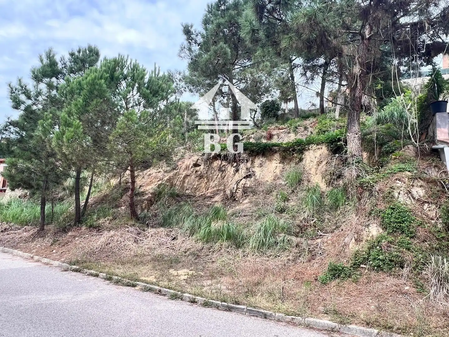 Terreno rústico en venta en Figuera, imagen 11