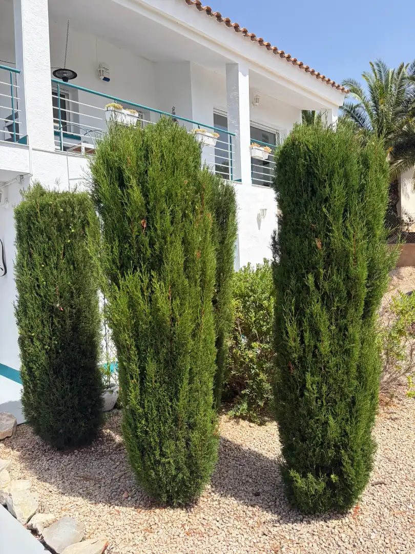 Jardín de Casa o chalet en venta en El Perelló con Aire acondicionado, Calefacción y Jardín privado