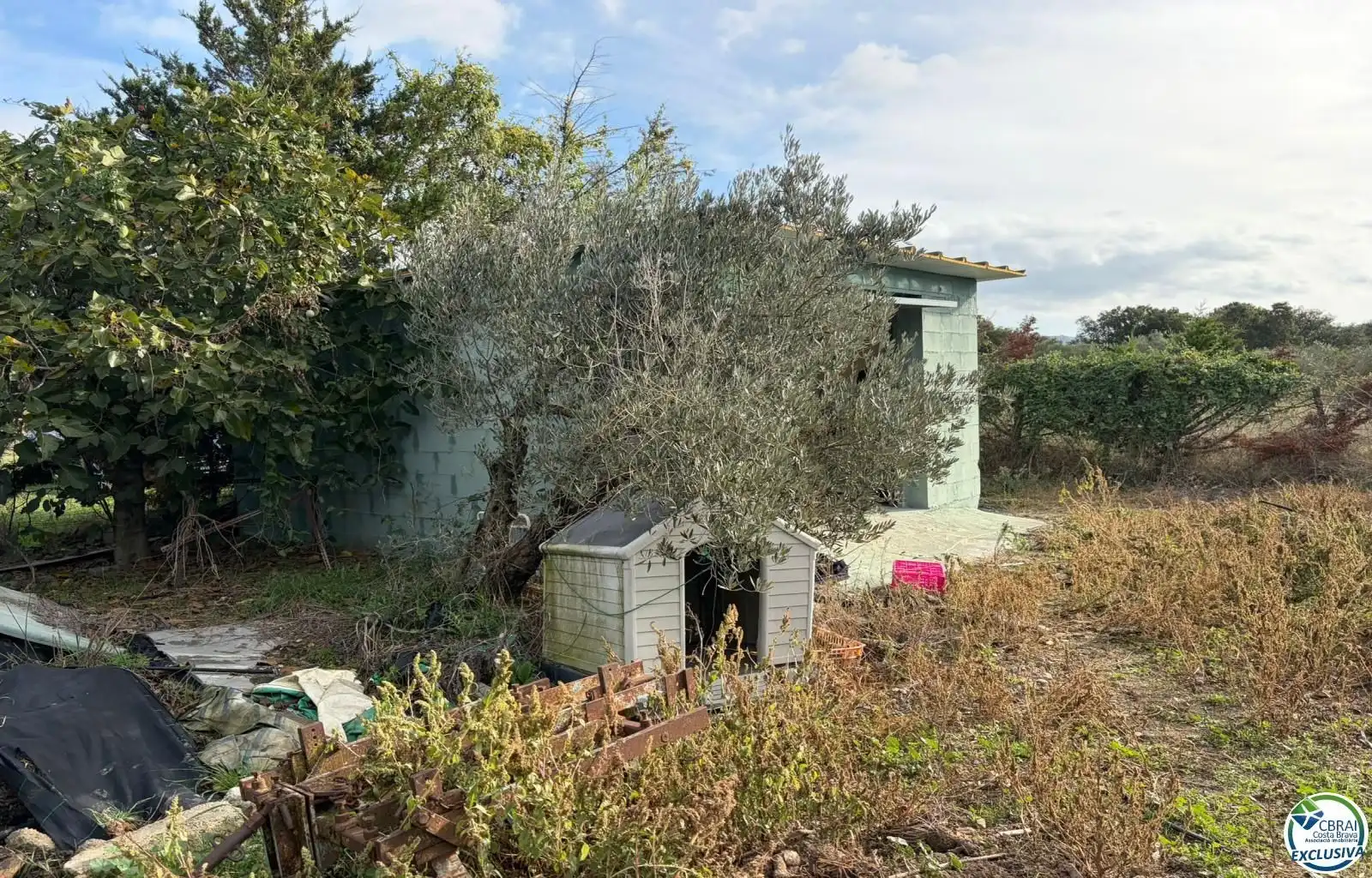Terrenys i solars en venda a TORRE DEL VIENTO, imagen 2