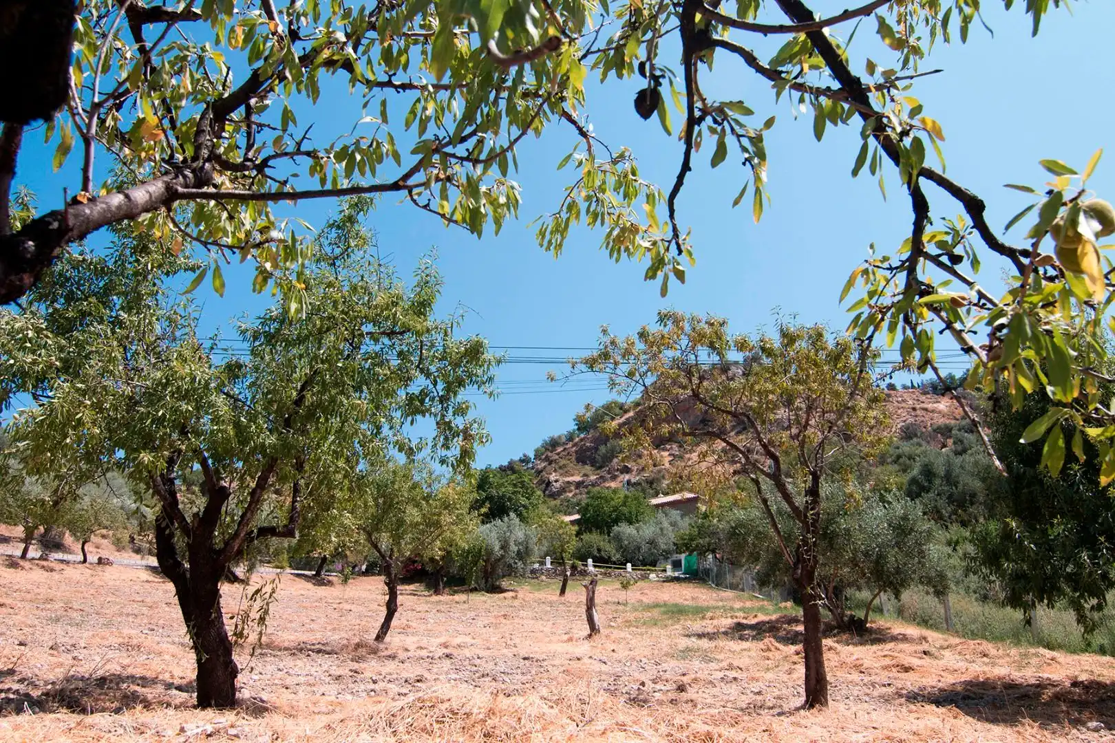 Finca rústica en venta en Güéjar Sierra con Terraza, Piscina y Balcón