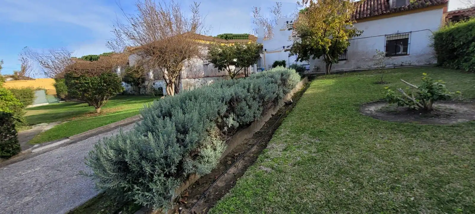 Villa mit Terrasse zum Verkauf in Los Pinos, imagen 61