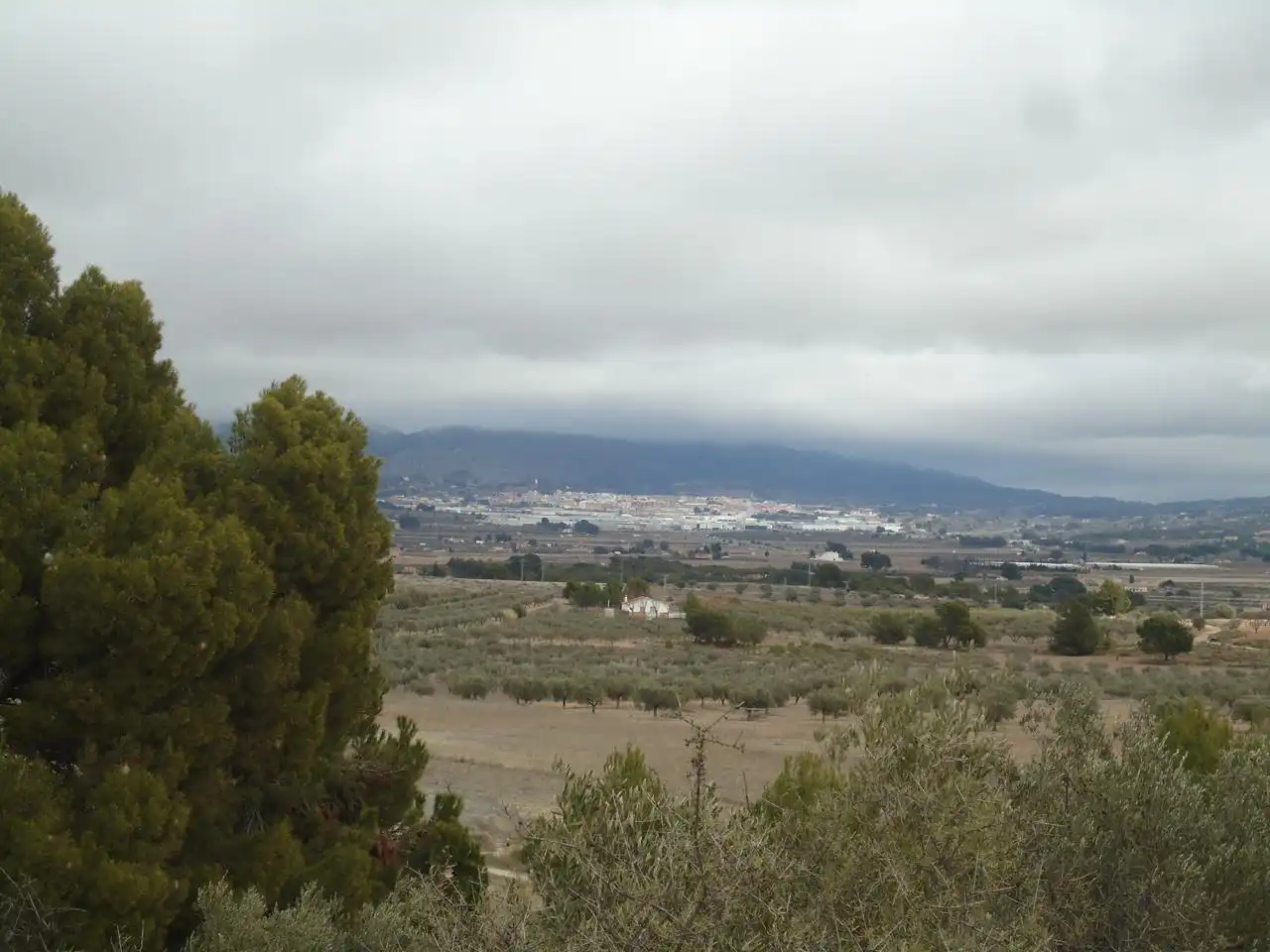 Terrenys i solars en venda a Castalla, imagen 3