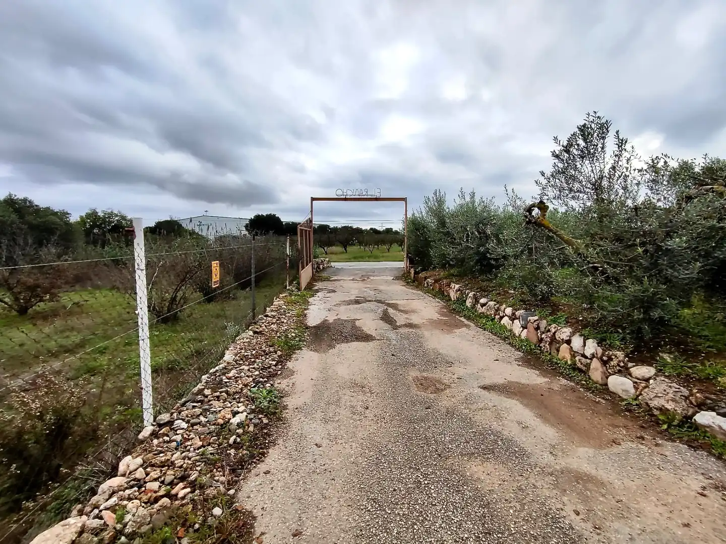 Land for sale in Vilallonga del Camp