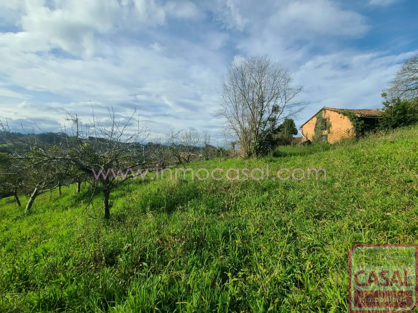 Grundstücke und Bauplätze zum Verkauf in POLIGONO 51 PARCELA 134, EL PANIZAL, imagen 18