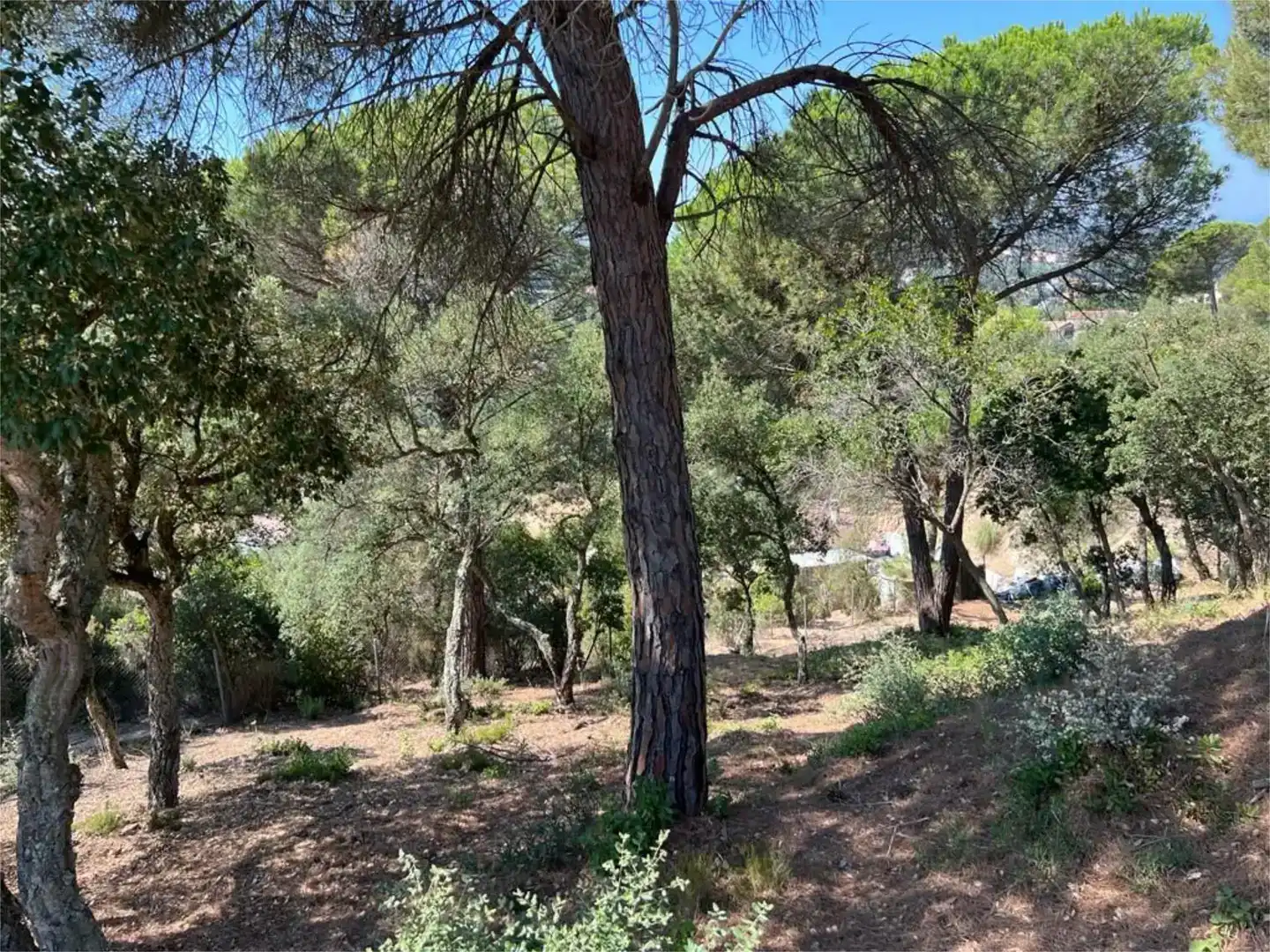 Finca rústica en venda en Lloret de Mar