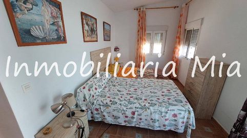 GRAN OPORTUNIDAD Finca de Lujo con 3 Casas  Producción de Pistachos a 20 min del Mar, immagine 5