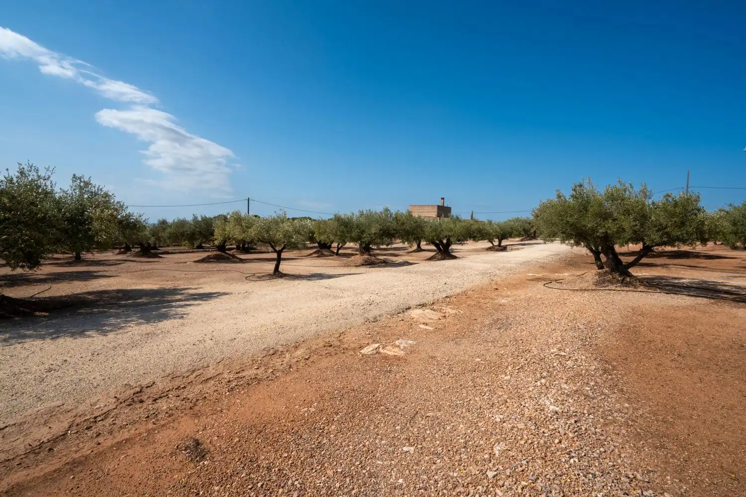 Country homes for sale in Camarles  with Storage room and Furnished