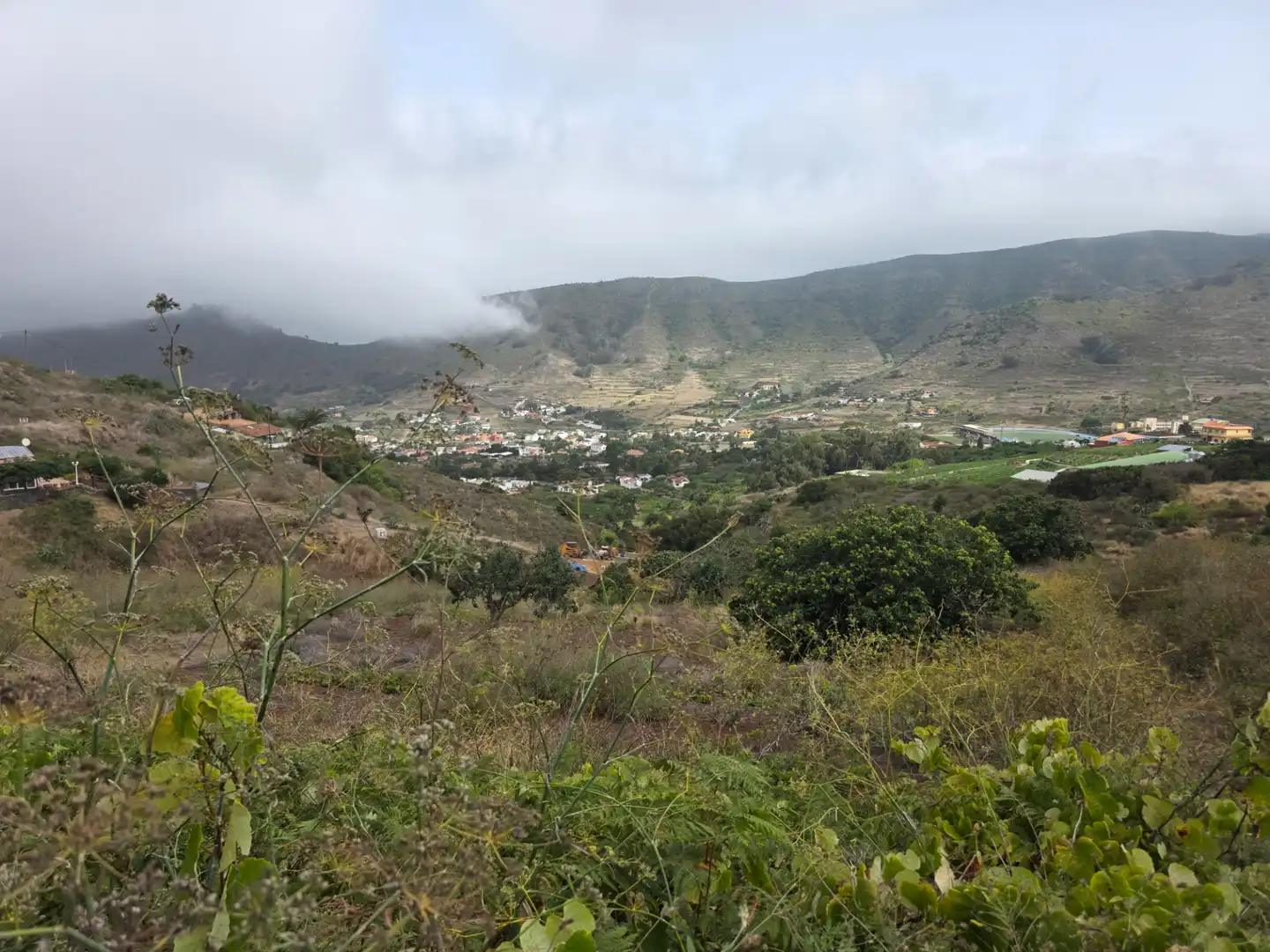 Rural land for sale in Camino las Peñuelas 11, imagen 6