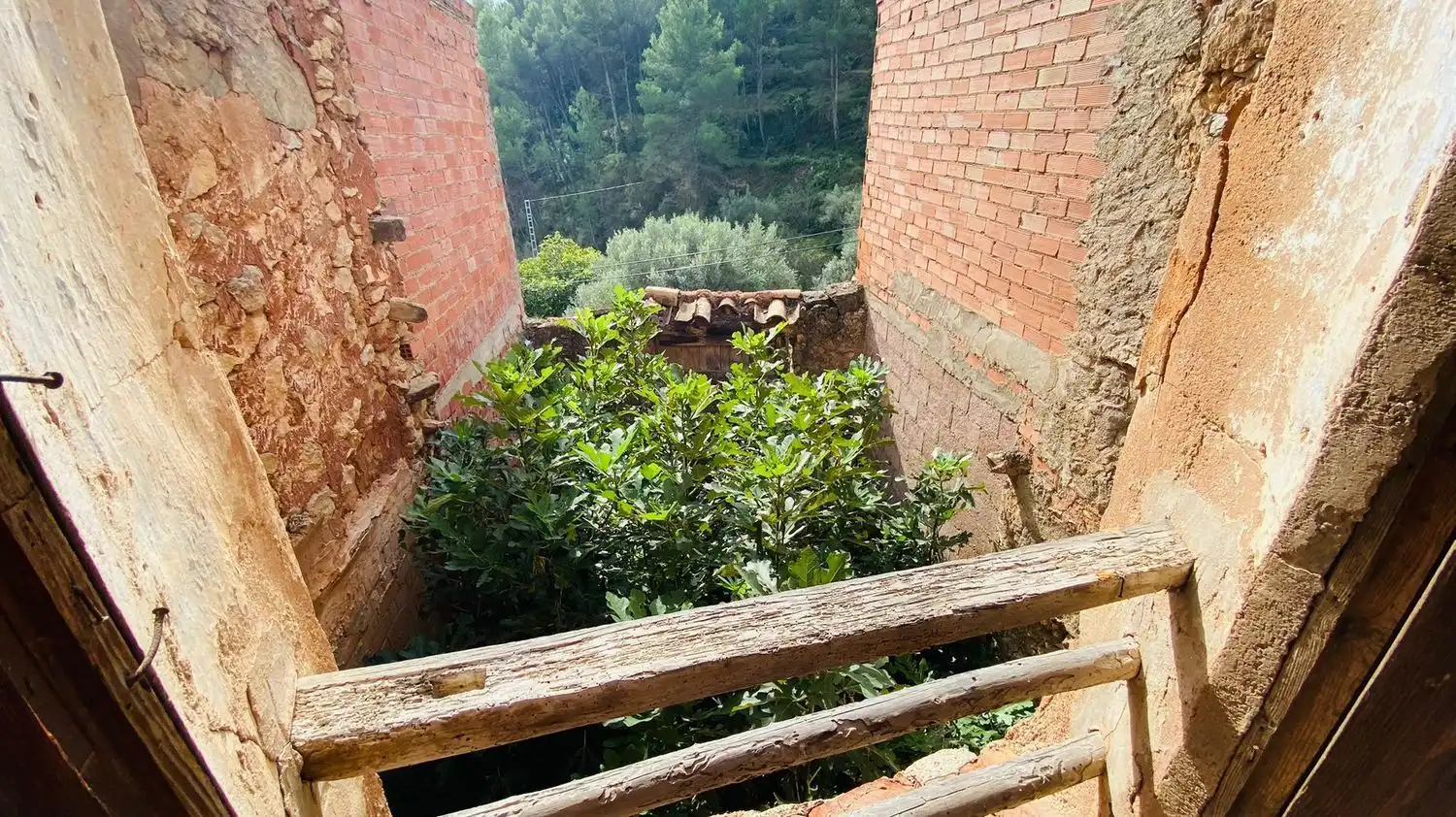 Vista exterior de Finca rústica en venta en Cirat con Terraza y Trastero