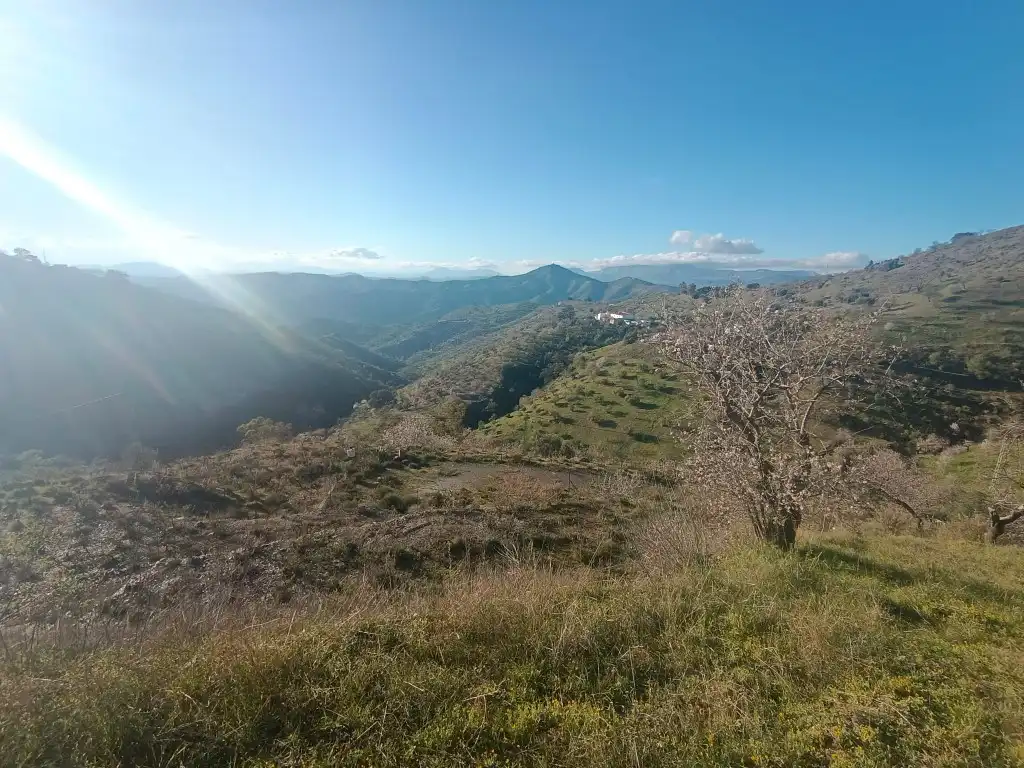 Terreno rústico en venta en Avenida Huerta De La, imagen 14
