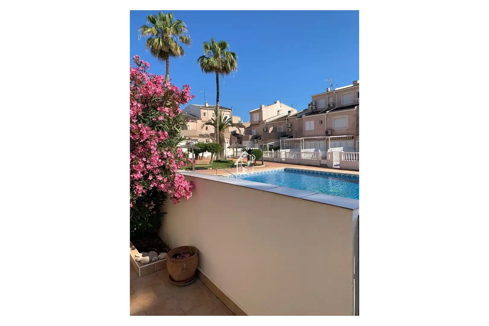 Swimming pool of Houses for rent in San Miguel de Salinas  with Air Conditioner, Terrace and Swimming Pool