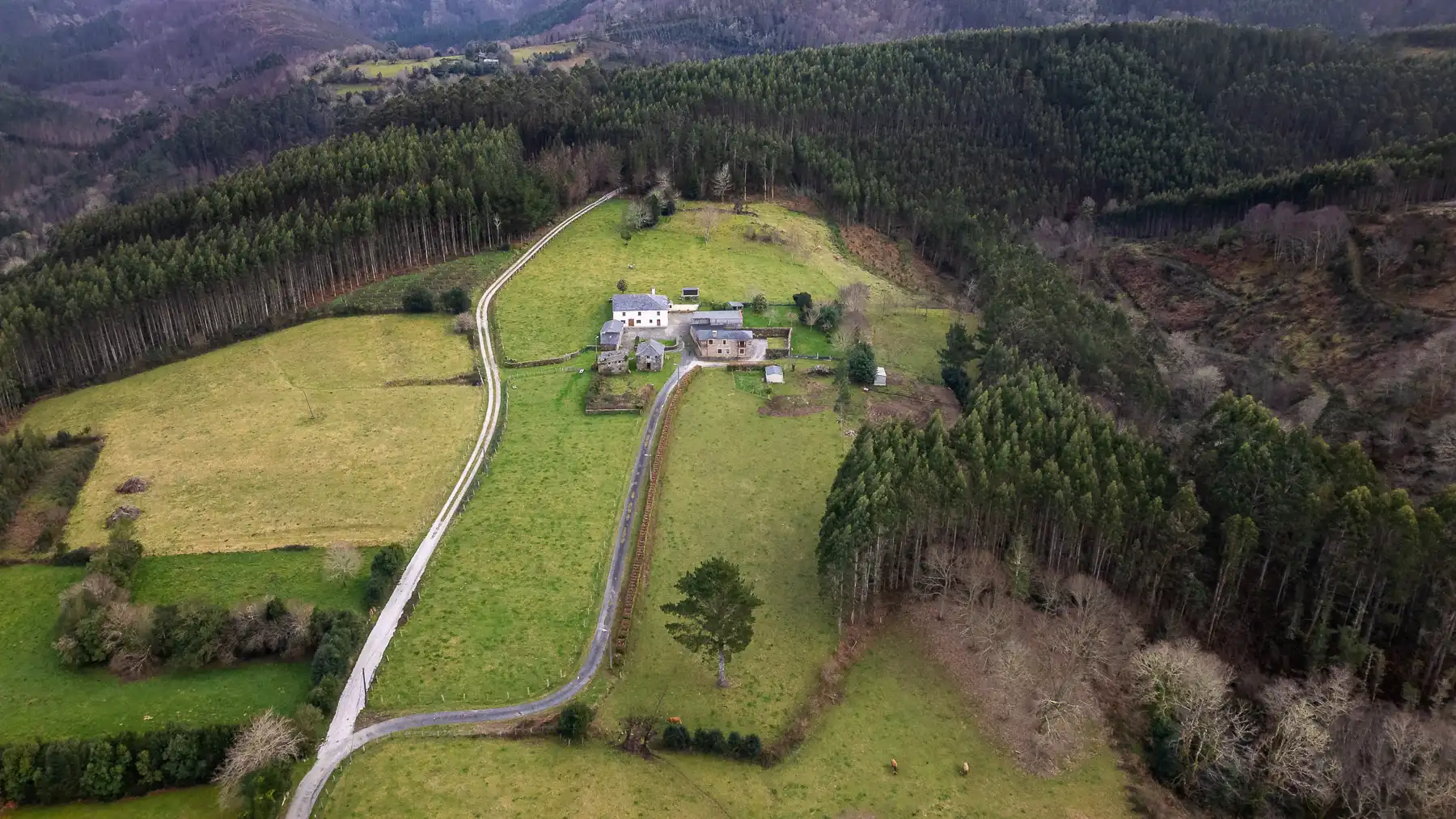 Finca rústica en venta en Mañón