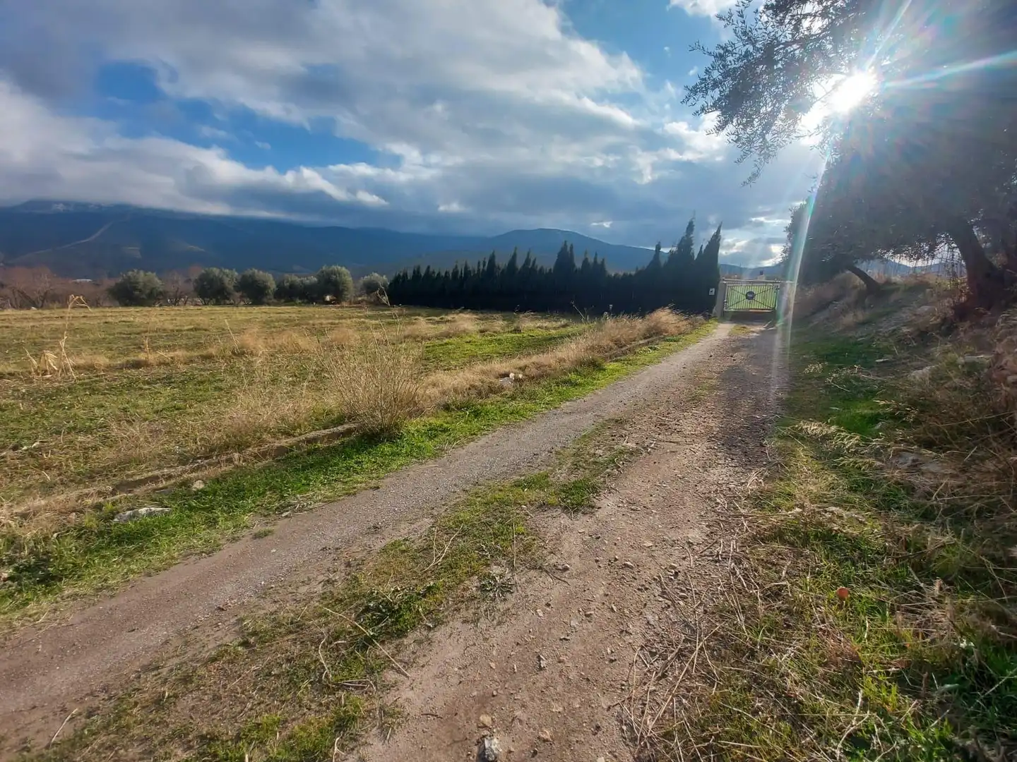 Rural land for sale in Laujar de Andarax, imagen 5
