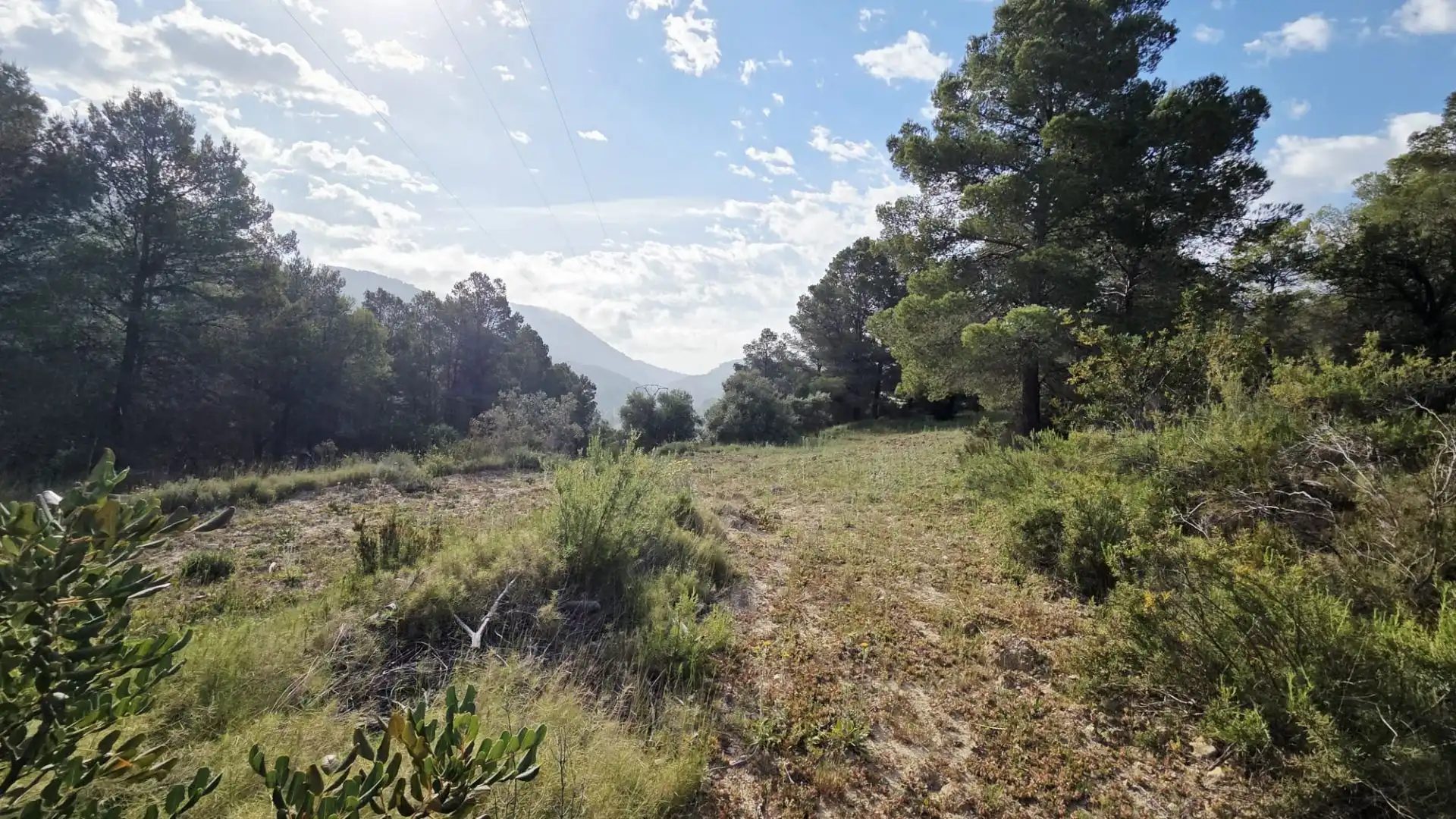 Grundstücke und Bauplätze zum Verkauf in El Castell de Guadalest, imagen 2