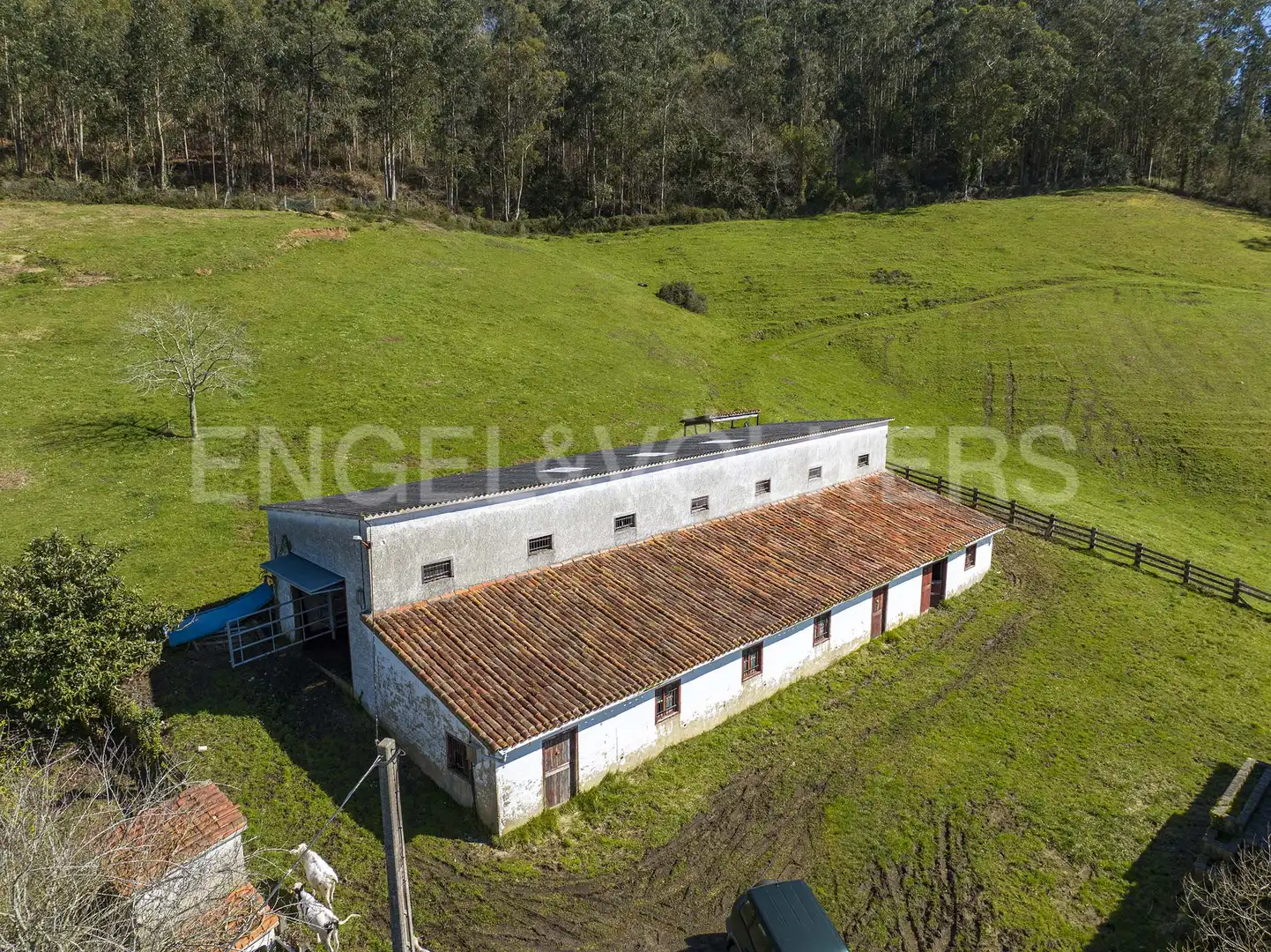 Vista exterior de Residencial en venda en Villaviciosa