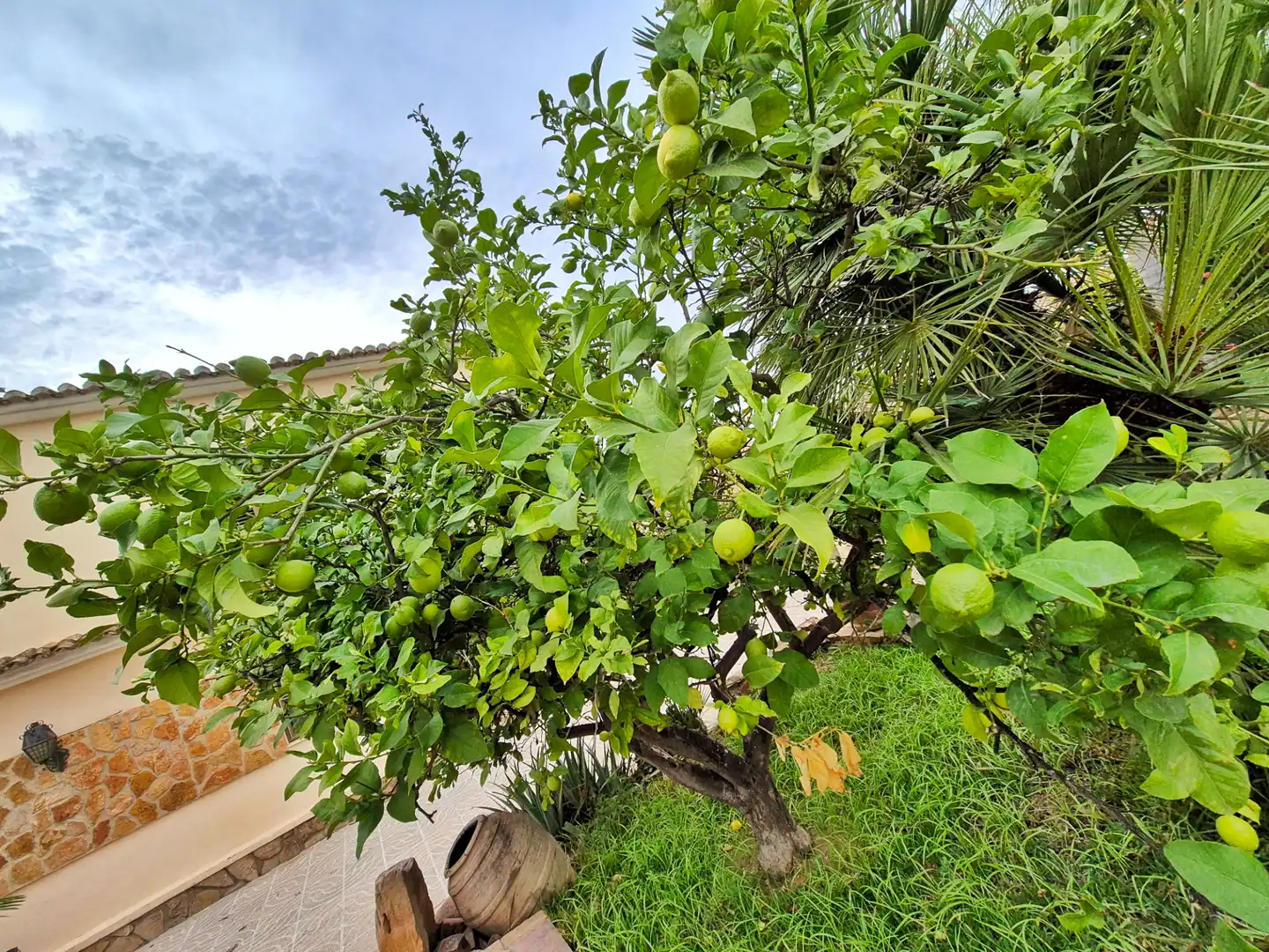 Villa avec terrasse à vendre à Carrer Alzira, imagen 13