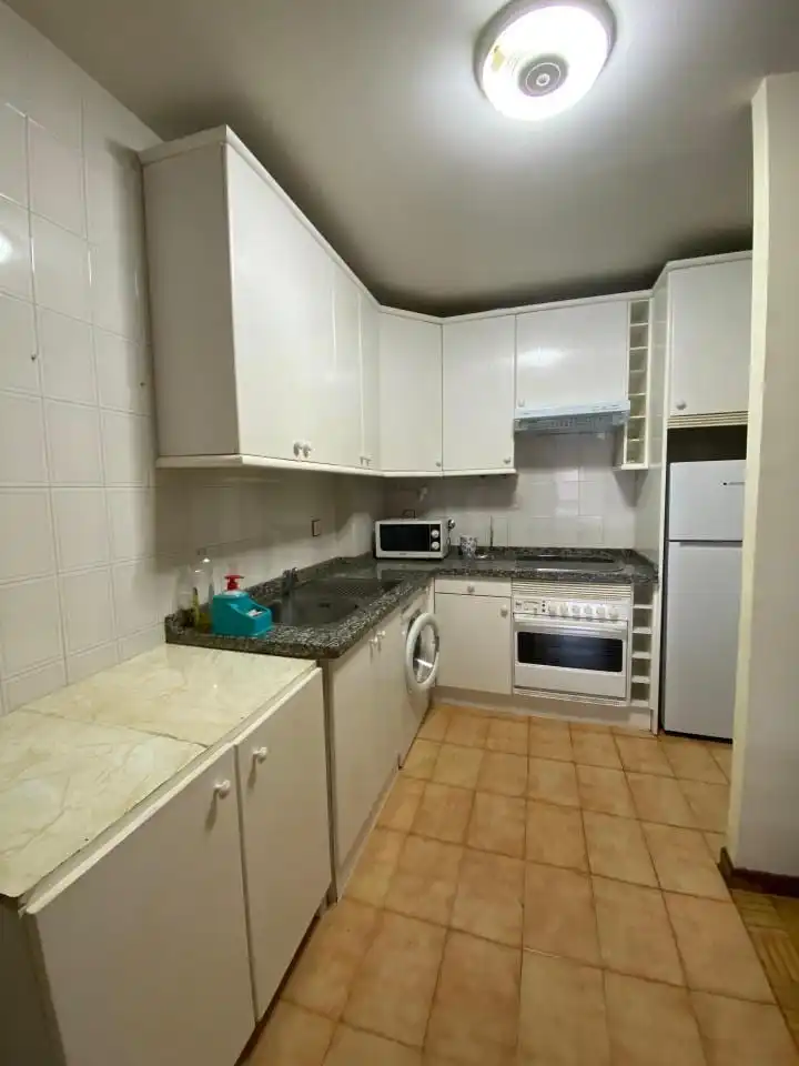 Kitchen of Apartments for rent in León Capital   with Heating, Parquet flooring and Furnished