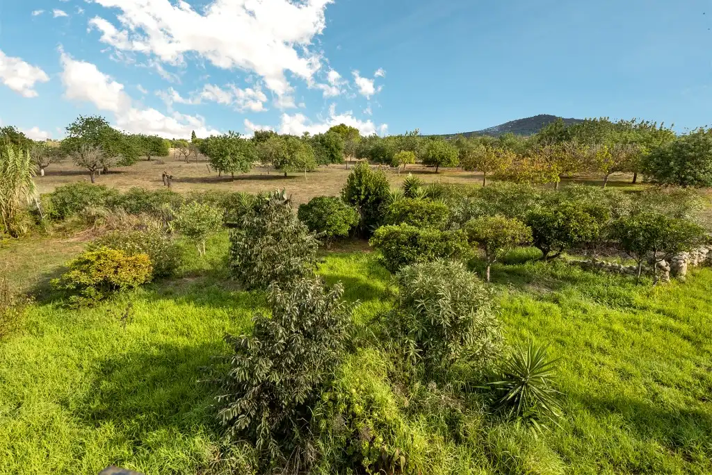 Country house for sale in Campanet, imagen 30