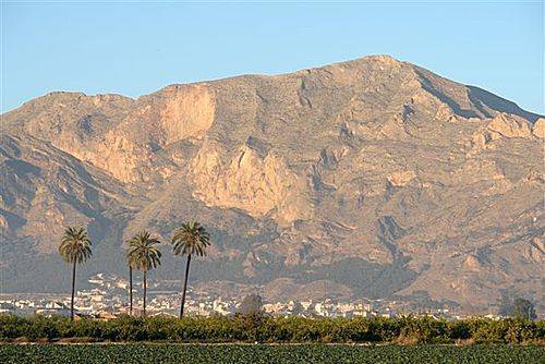 Terreno residencial en Venta en Cam. del Puente del Rollo en Crevillent