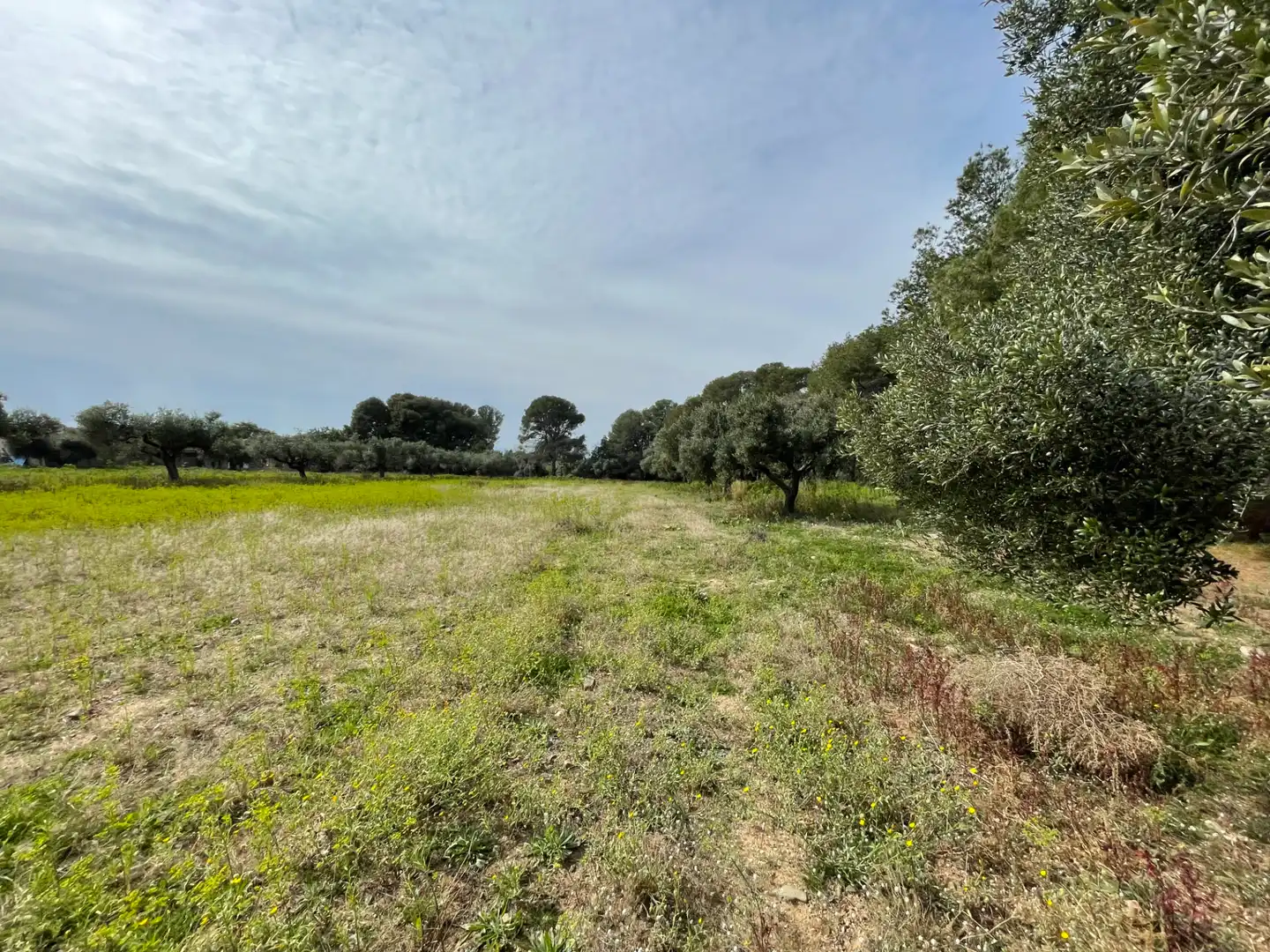 Grundstücke zum Verkauf in Cambrils