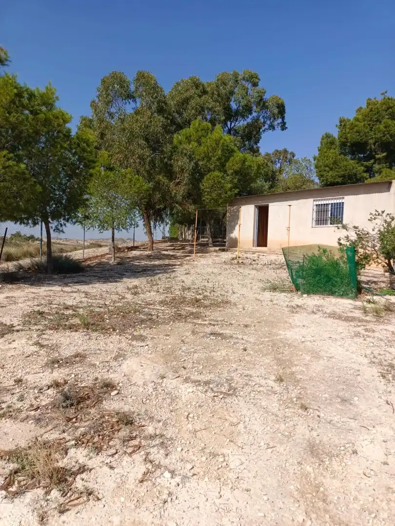 Houses for sale in Molina de Segura