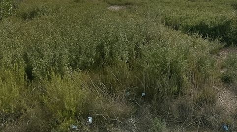 Terreno en Venta en Querol