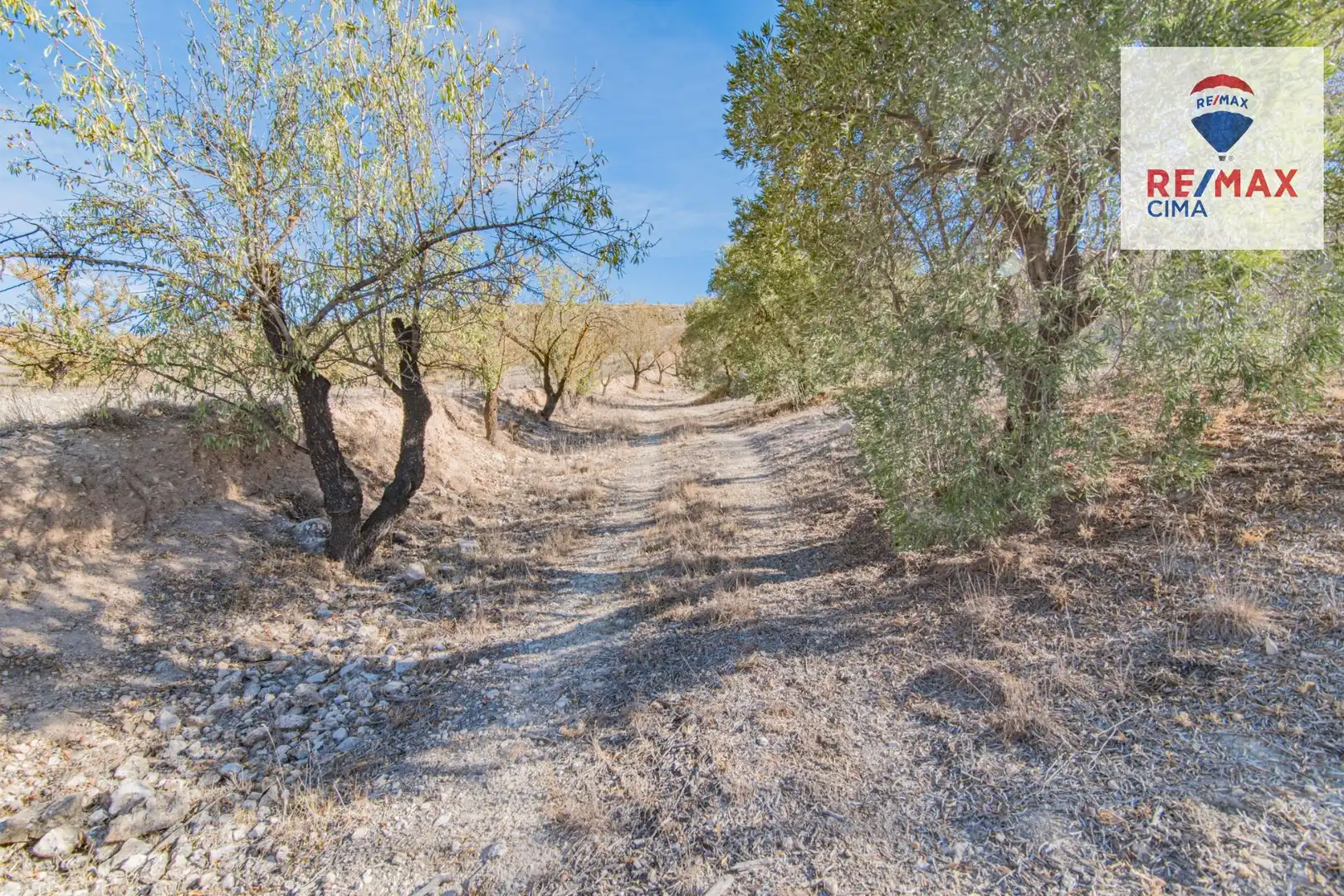 Terreno en venta en Santa Cruz del Comercio