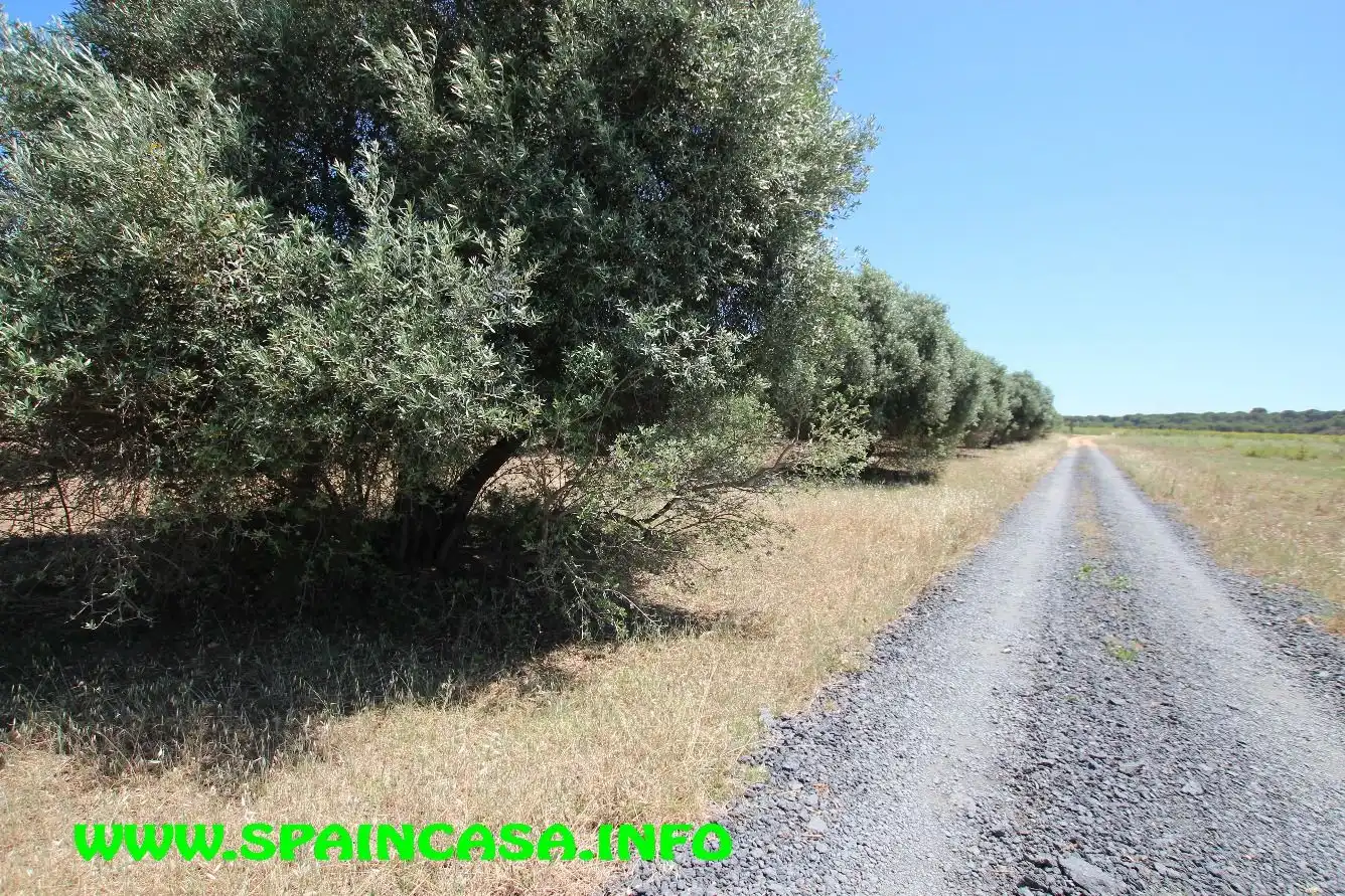 Terrenos y solares en venta en Núcleo urbano, imagen 16