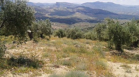Terreno en venta en lugar Portillo Del Estepar-s/nº, Castillo De Locubín, Jaén, immagine 2