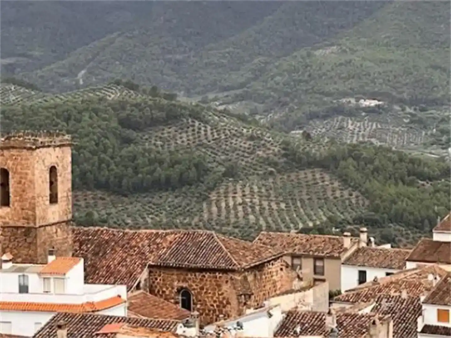 Vista exterior de Finca rústica en venda en Hornos