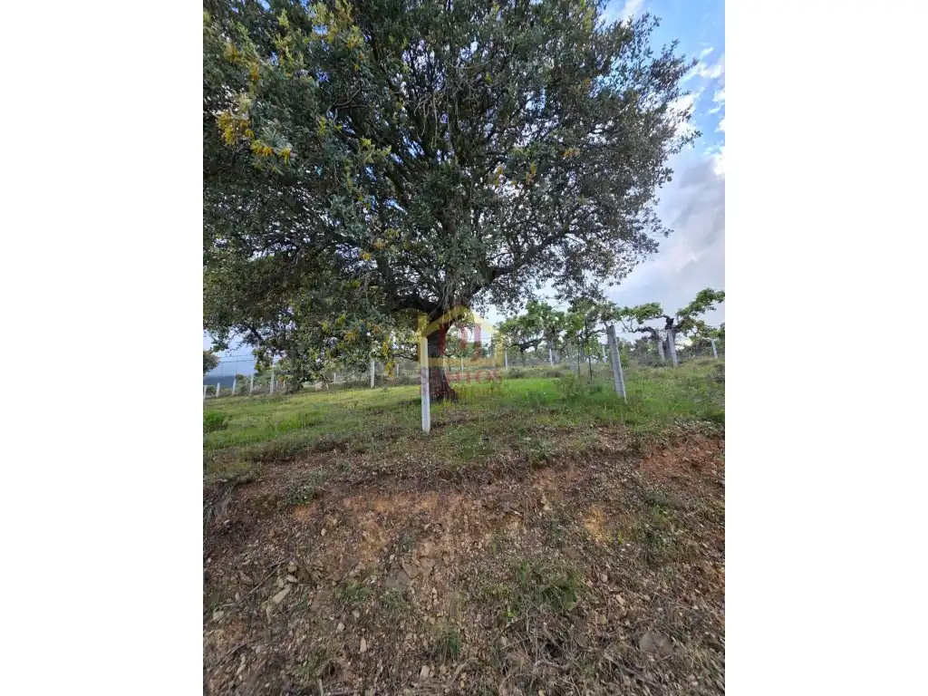 Finca rústica en venta en La Rinconada de la Sierra 