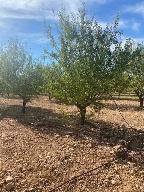 Terreno rustico in vendita a Calle García Pavón, imagen 14