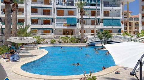 Foto 5 de Estudio en venta en Los Europeos, Torrevieja