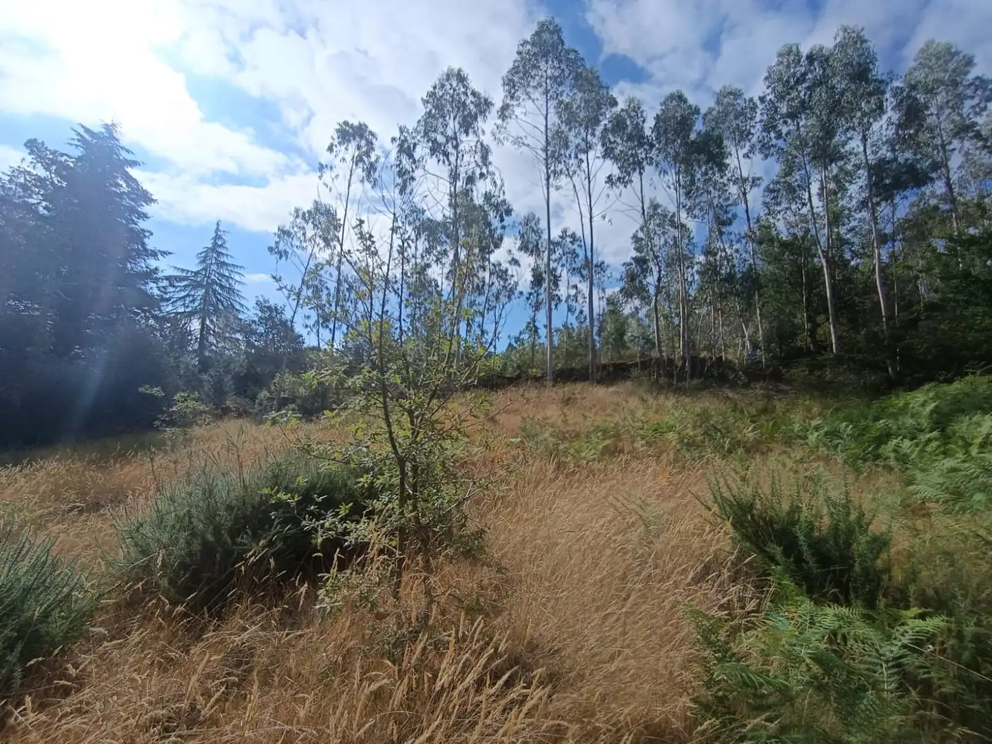 Residencial en venda en Cotobade
