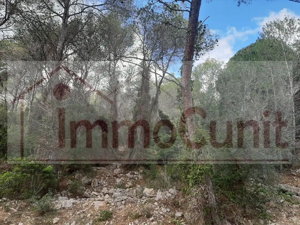 Residential land for sale in Mas Trader - Corral d'En Tort - Corral d'En Cona, imagen 8