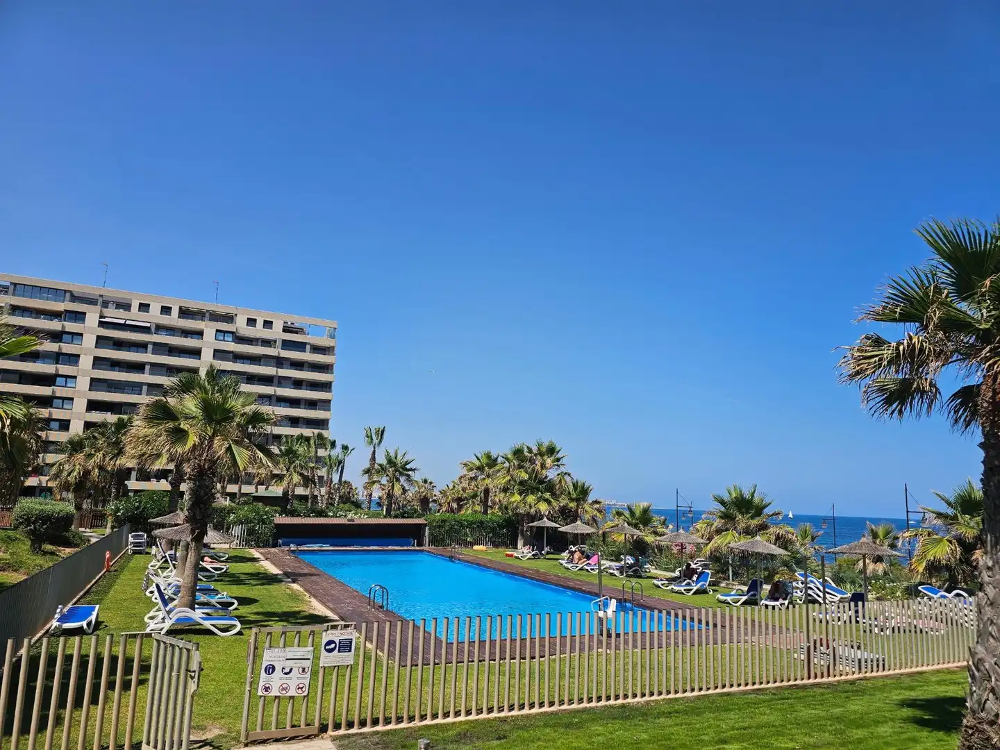 Piscina de Àtic en venda en Torrevieja amb Aire condicionat, Calefacció i Jardí privat