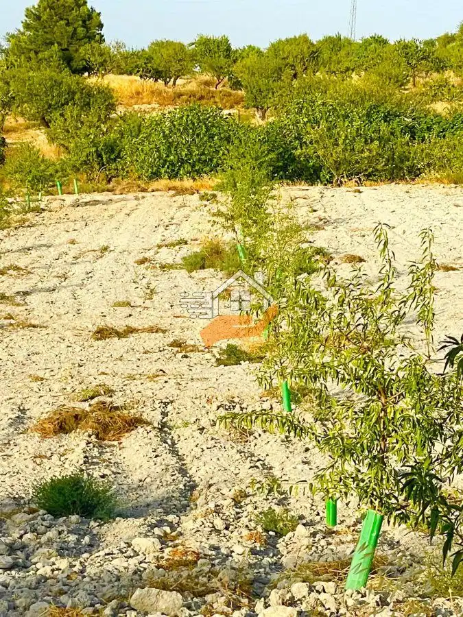 Residential land for sale in Vélez-Rubio, imagen 5